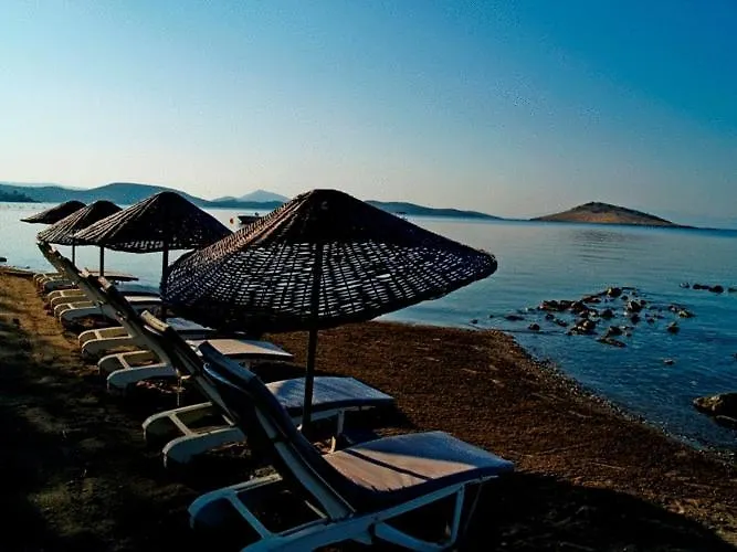 Yilmaz Hotel Ortakent Turkey