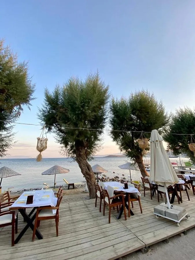 Yilmaz Hotel Ortakent