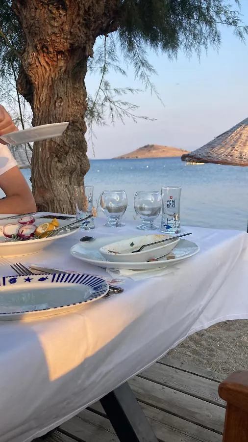 Yilmaz Hotel Ortakent