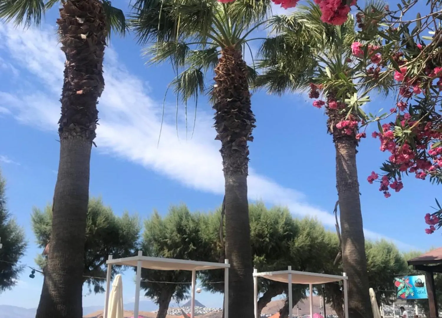 Yilmaz Hotel Ortakent