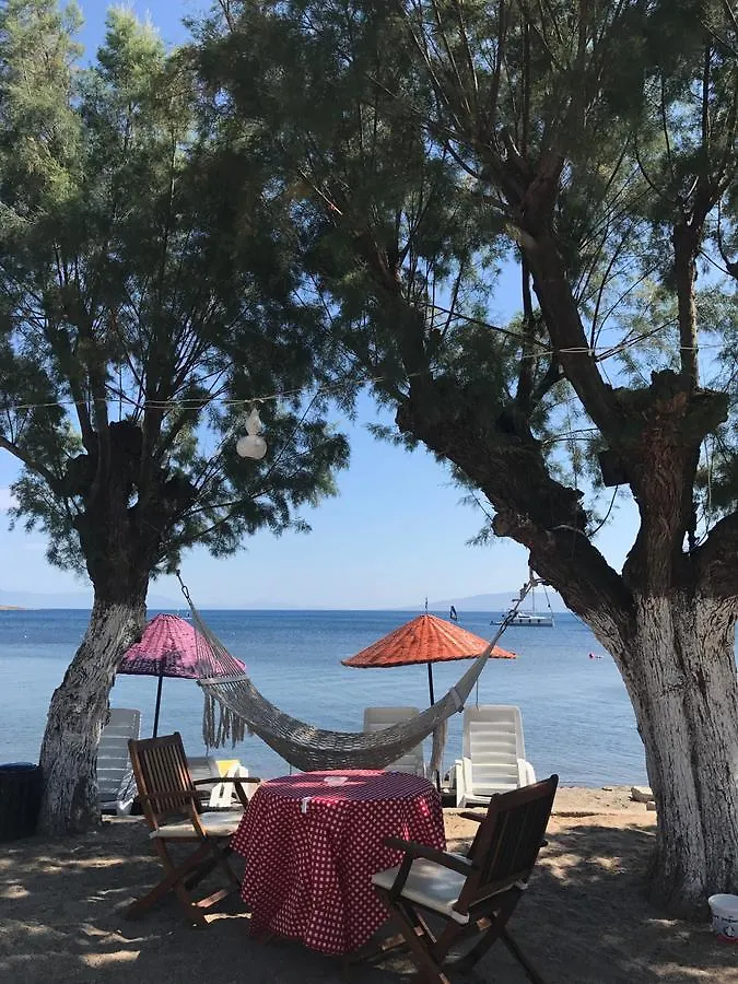 Yilmaz Hotel Ortakent