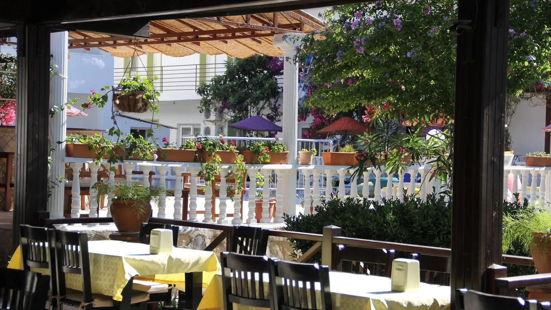 **  Yilmaz Hotel Ortakent Turkey