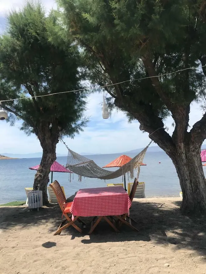 Yilmaz Hotel Ortakent Turkije