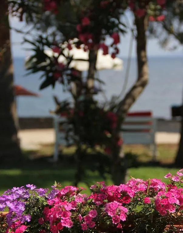 Yilmaz Hotel Ortakent
