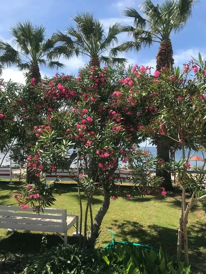 Yilmaz Hotel Ortakent